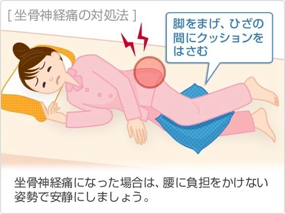 ダウンロード